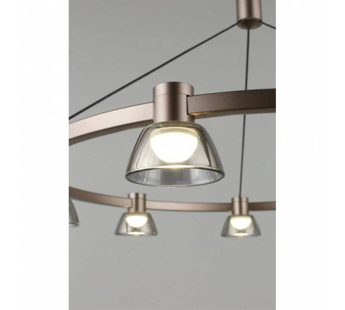 Подвесная люстра Aployt Rezeda APL.788.03.09