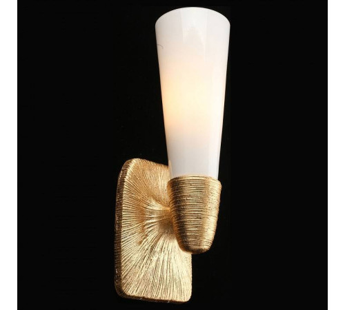 Бра Aployt Hloya APL.800.01.01