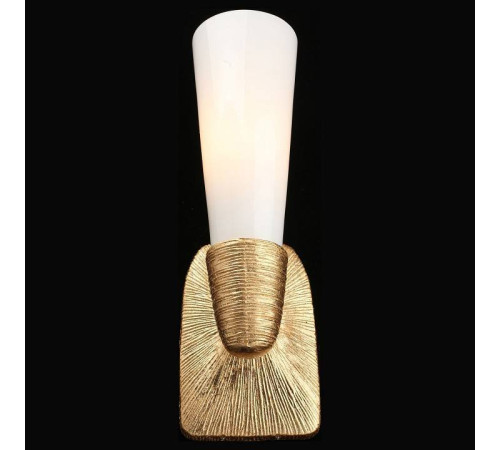 Бра Aployt Hloya APL.800.01.01