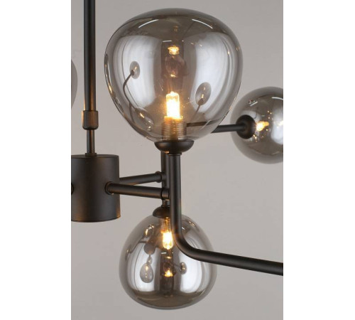 Люстра на штанге Aployt Roser APL.913.07.08