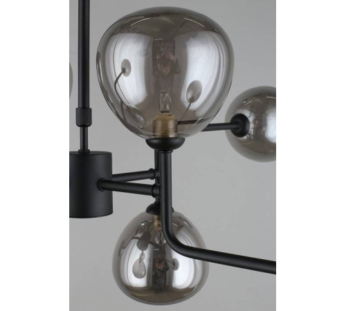 Люстра на штанге Aployt Roser APL.913.07.08