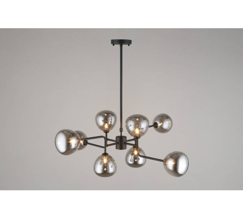 Люстра на штанге Aployt Roser APL.913.07.08
