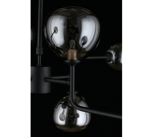 Люстра на штанге Aployt Roser APL.913.07.08