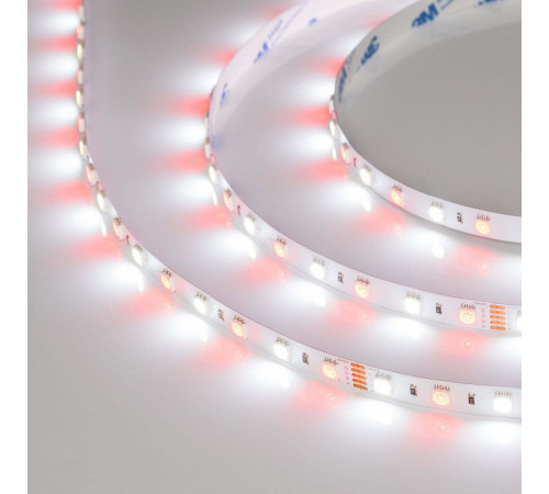 Лента светодиодная Arlight RT 018325(3)