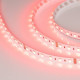Лента светодиодная Arlight RT открытая 019096(2)