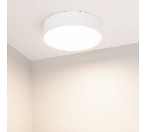 Накладной светильник Arlight RONDO 022230(2)