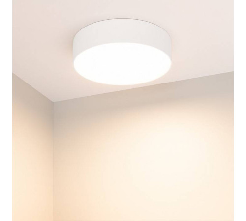 Накладной светильник Arlight RONDO 022231(2)