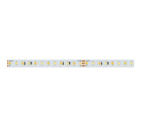 Лента светодиодная Arlight  025209(2)