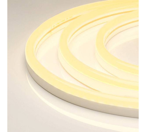 Шнур световой Arlight NEON-2-SIDE-24V White6000 30867