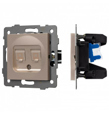 Розетка двойная RJ-12 и Ethernet RJ-45, без рамки Arlight SCT 049850