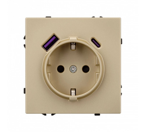 Розетка с заземлением и 2хUSB type A, без рамки Arlight SCT 054286