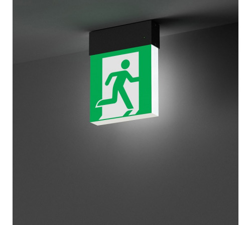 Светильник-указатель Arlight EMG-MARK 059801