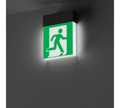 Светильник-указатель Arlight EMG-MARK 059801