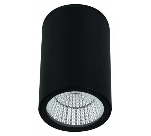 Накладной светильник Arte Lamp TORCULAR A1307PF-1BK