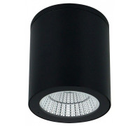 Накладной светильник Arte Lamp TORCULAR A1313PF-1BK