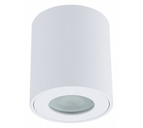 Накладной светильник Arte Lamp Tino A1469PL-1WH