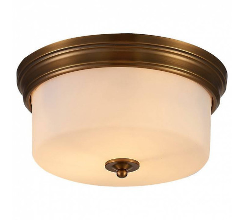 Накладной светильник Arte Lamp Alonzo A1735PL-3SR