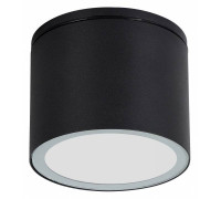 Накладной светильник Arte Lamp Piautos A1913PF-1BK
