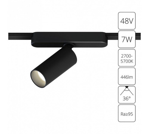 Светильник на штанге Arte Lamp Rapid A2956PL-1BK