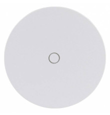 Накладной светильник Arte Lamp Nimbo A4506AL-1WH