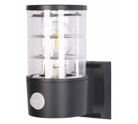 Светильник на штанге Arte Lamp Tokyo A5316AL-1BK