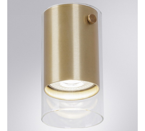 Накладной светильник Arte Lamp Lazio A5365PL-1SG
