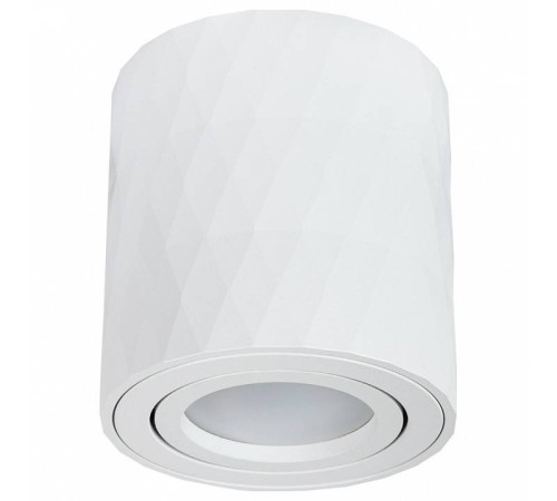 Накладной светильник Arte Lamp Fang A5559PL-1WH
