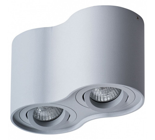 Накладной светильник Arte Lamp Falcon A5645PL-2GY