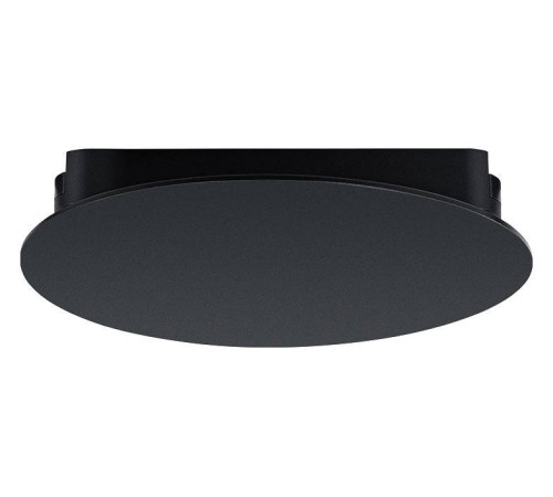 Накладной светильник Arte Lamp Rapid A6163PL-1BK