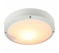 Накладной светильник Arte Lamp City A8154PF-2WH