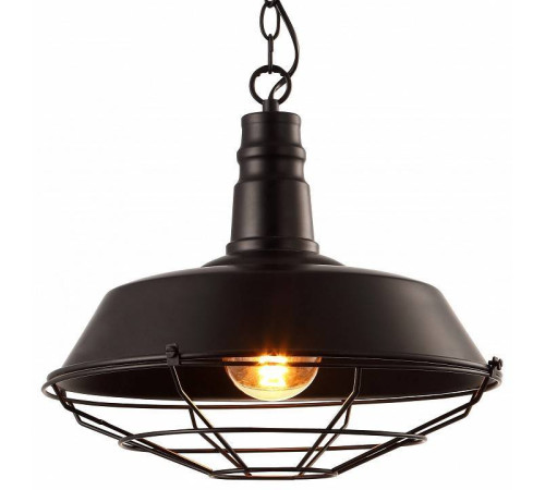 Подвесной светильник Arte Lamp Pandora A9183SP-1BK