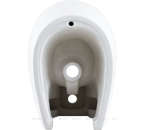 Биде подвесное Allen Brau Fantasy 510x363 мм белый матовый 4.11006.21