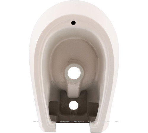 Биде подвесное Allen Brau Fantasy 510x363 мм розовый 4.11006.SM