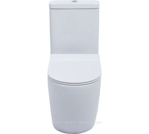 Чаша унитаза напольного Aquanet Cetus Rimless сиденье Slim Soft Close CETUS-C1
