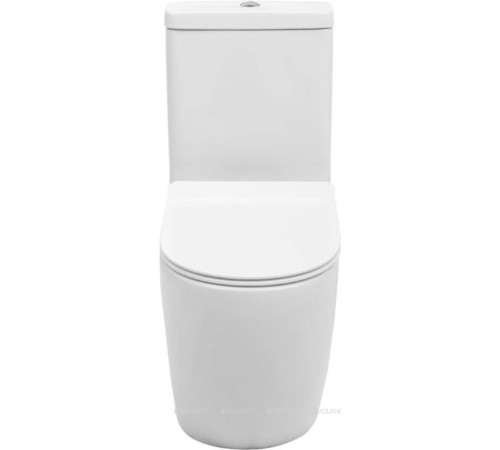 Чаша унитаза напольного Aquanet Cetus Rimless сиденье Slim Soft Close CETUS-C1