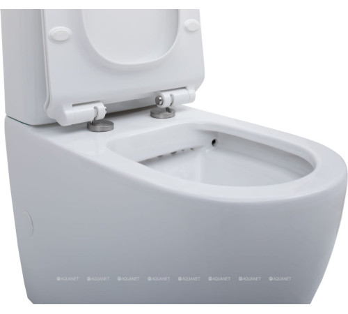 Чаша унитаза напольного Aquanet Cetus Rimless сиденье Slim Soft Close CETUS-C1