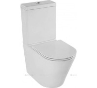 Чаша напольного унитаза Jacob Delafon Rodin+ Rimless UJAB102-00