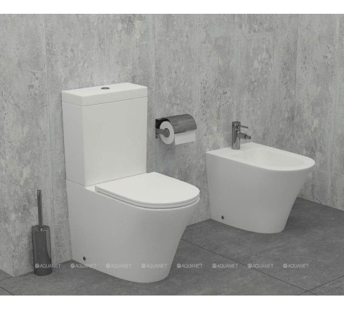 Чаша напольного унитаза Jacob Delafon Rodin+ Rimless UJAB102-00