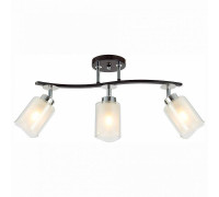 Спот Citilux Фортуна CL156132