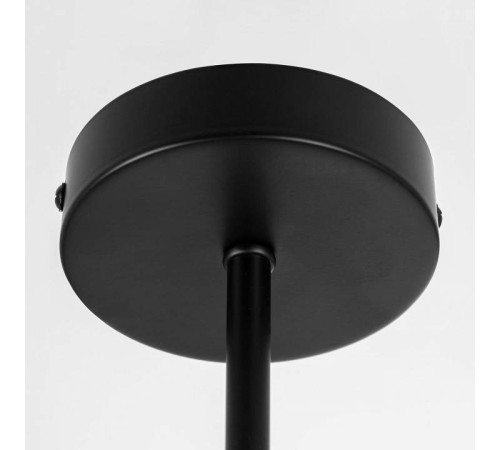 Люстра на штанге Citilux Fisher CL218163