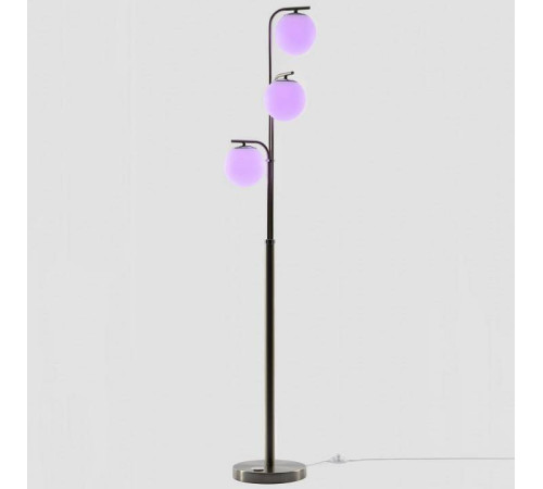 Торшер Citilux Адам Смарт CL228A931