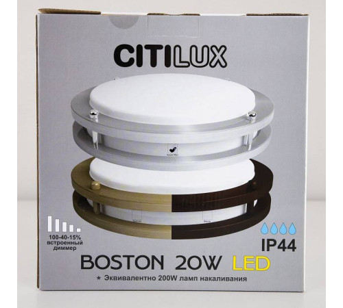 Накладной светильник Citilux Бостон CL709201N