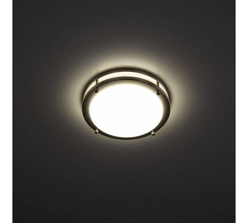 Накладной светильник Citilux Бостон CL709201N