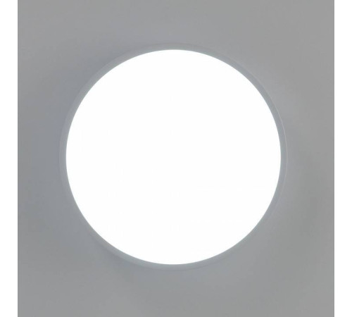 Накладной светильник Citilux Купер CL72424V0