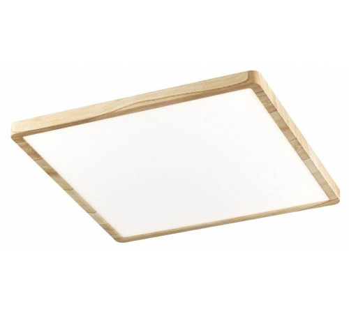 Накладной светильник Citilux Бейсик CL738K502V