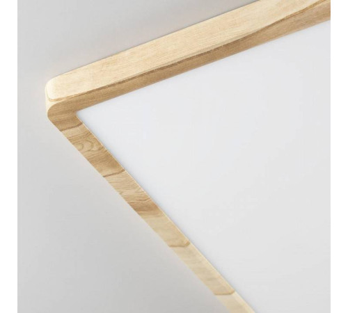 Накладной светильник Citilux Бейсик CL738K502V