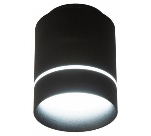 Накладной светильник Citilux Борн CL745011N