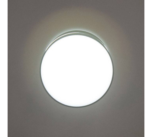 Накладной светильник Citilux Борн CL745011N