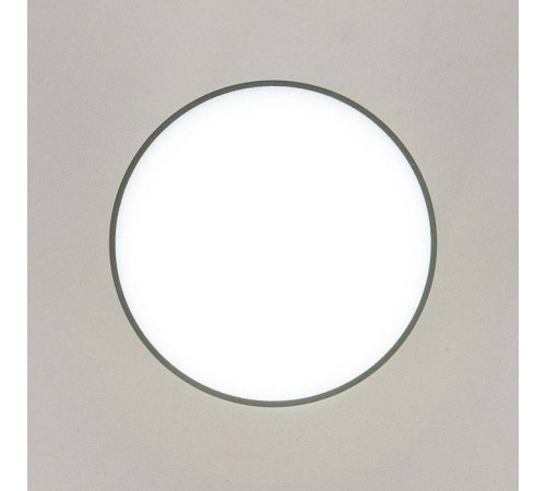 Накладной светильник Citilux Борн CL745011N