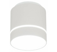 Накладной светильник Citilux Борн CL745020N